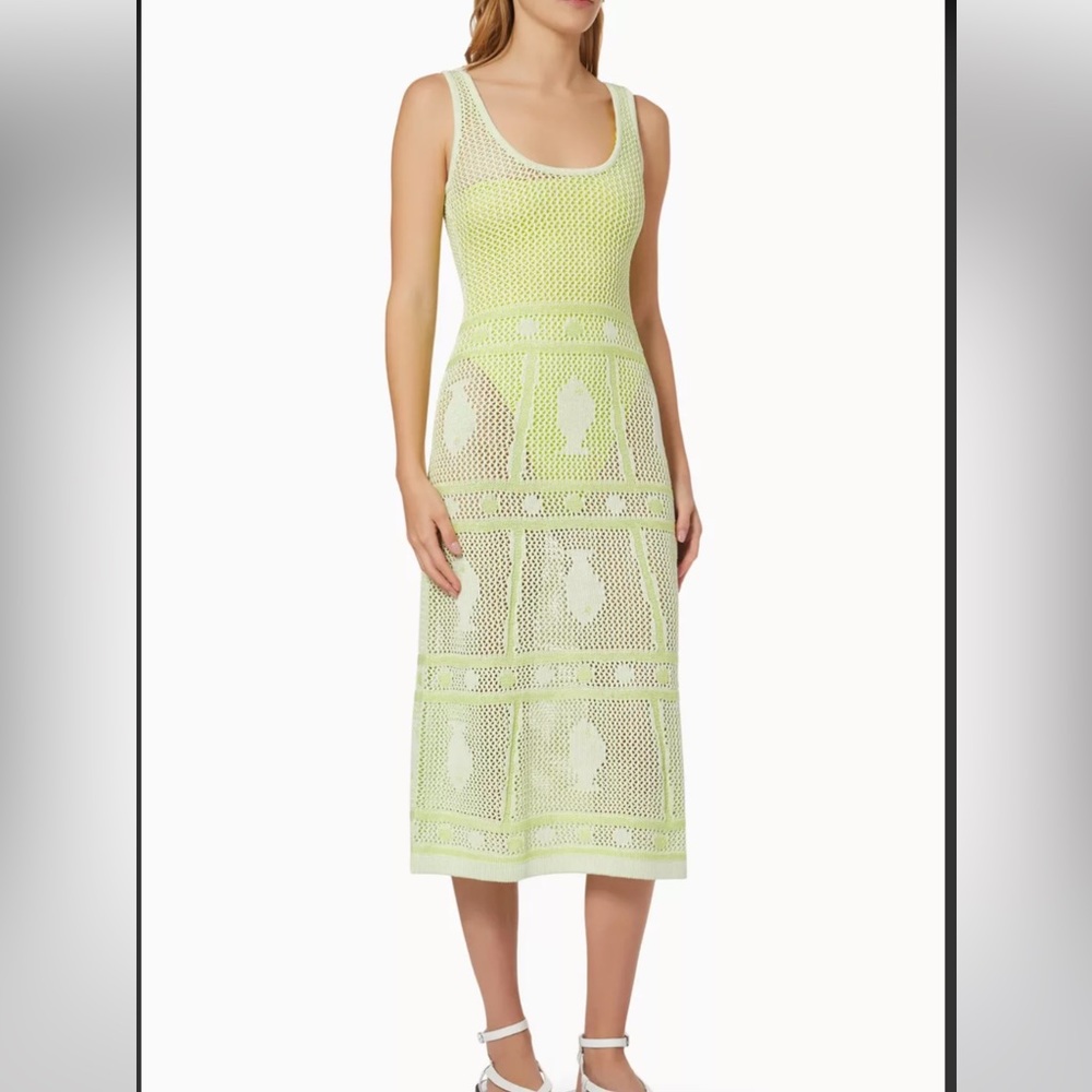 Solid and Striped Ann-Marie Crochet Coverup Dress With Fresh Fish Motif